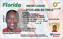 Florida Driver's License - New