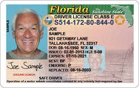 Florida Driver's License - Old