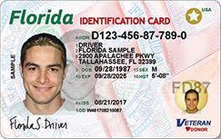 Florida Identification Card - New
