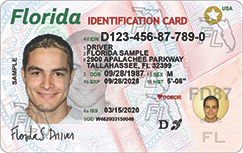 Florida Identification Card - New